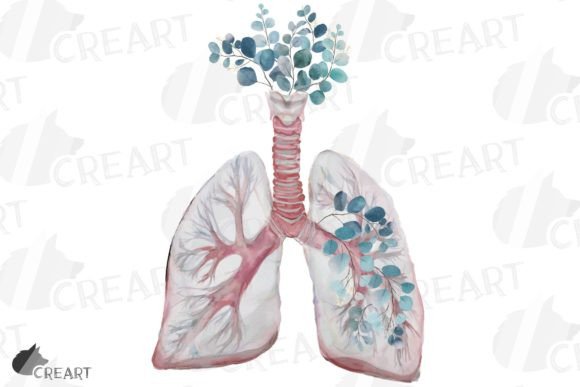 Pink Blush Anatomical Lung Eucalyptus Art