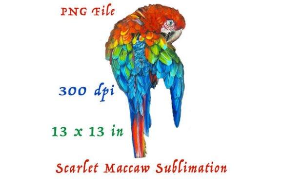 Scarlet Macaw Parrot PNG Sublimation Guide