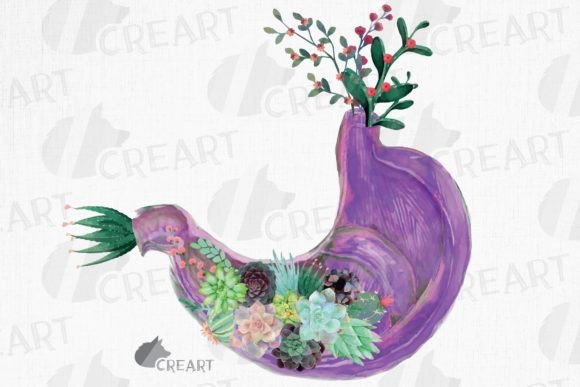 Succulent, Cactus Anatomical Stomach Art: A Guide to Unique Floral Digestive Decor